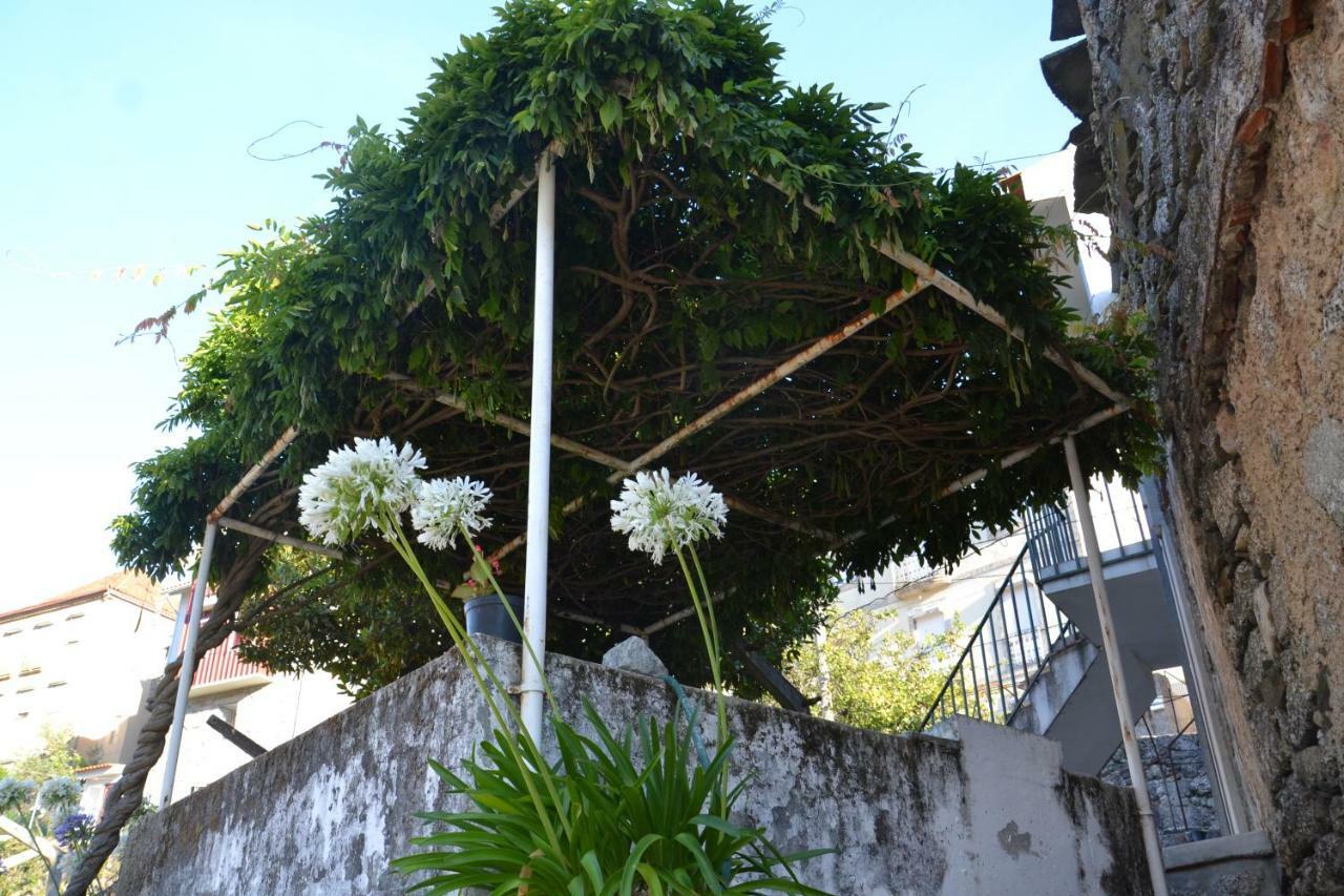 Casa Da Ponte Do Arrocho Villa Loriga Exterior photo